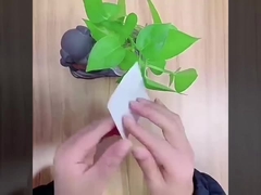 habillage élastique semi-transparent de film